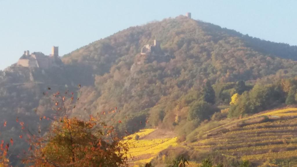 콜마 Au Coeur D'Alsace 아파트 외부 사진